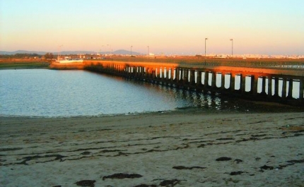 Renaturalização dos ilhores da Ria Formosa concluída até verão de 2015