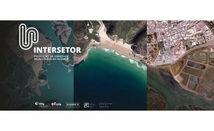 UALG LANÇA PROJETO INTERSETOR