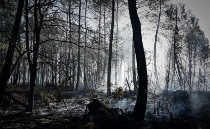 Fogo de Monchique/Portimão dado como extinto e em fase de vigilância