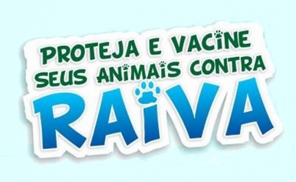 Campanha Anual de Profilaxia da Raiva e Identificação Eletrónica Decorre no Concelho de Silves