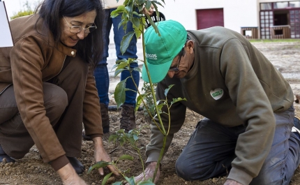 UAlg planta Árvores da Paz no Campus de Gambelas, reforçando Parque Botânico