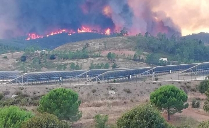 Incêndio em Monchique obrigou a evacuar preventivamente casas e um lar de idosos