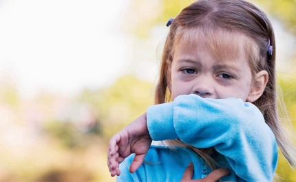 Crianças que vivem em zonas com mais vegetação têm menos sensibilidade alérgica - estudo