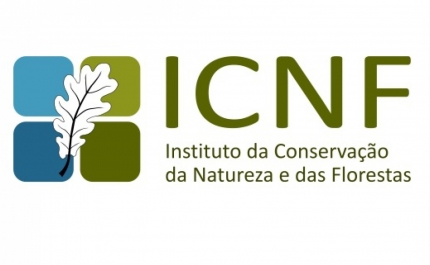 Incêndios/Algarve: ICNF abre inquérito à morte de animais em abrigo ilegal