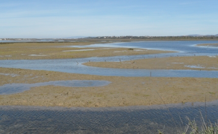 Providências cautelares adiam posse de casas nos Hangares