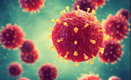 Covid-19: Lisboa e Vale do Tejo e Algarve com tendência decrescente ou estável de infeções