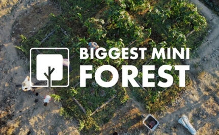 Biggest Mini Forest: Uma Revolução Verde em Andamento no Algarve