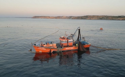 Arraial, Mercadinho de Peixe, Exposição e Documentário de João Bracourt marcam as comemorações do Dia Nacional do Pescador em Portimão