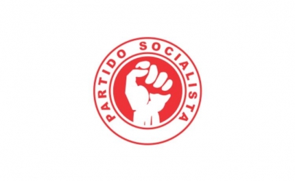 Partido Socialista de Lagoa | Porto de Portimão