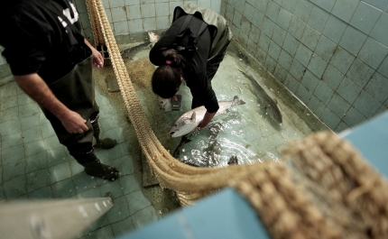 CCDR ALGARVE MARCA PRESENÇA NA FATACIL