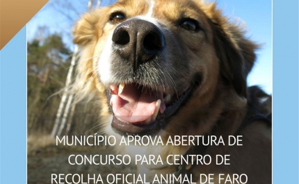 MUNICÍPIO DE FARO APROVA ABERTURA DE CONCURSO PARA CENTRO DE RECOLHA OFICIAL ANIMAL DE FARO