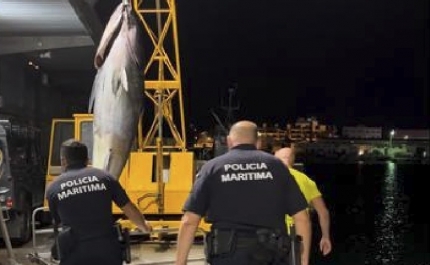 Polícia Marítima apreende atum com 300kg no rio Gilão em Tavira