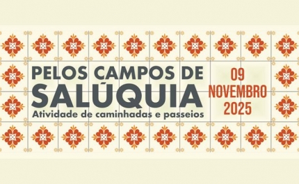 Rota do Sol convida a descobrir Amareleja a pé 