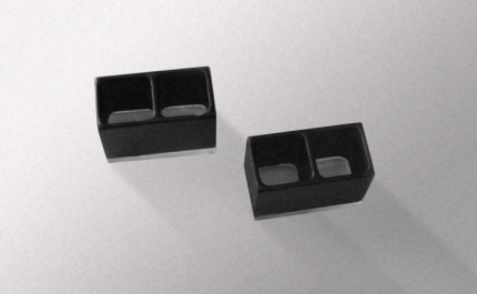 Cientistas da UAlg e da Universidade de Puerto Rico descobrem coerência quântica em reações bioquímicas