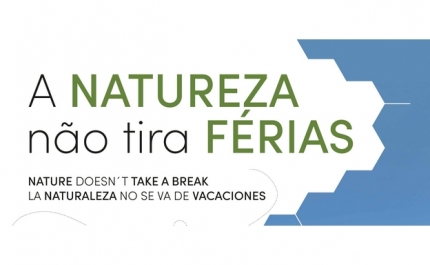 ALGARVE APELA A UM TURISMO SUSTENTÁVEL