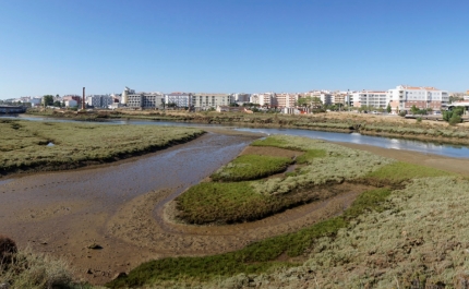 Museu de Lagos acolhe conversa sobre o Dia Mundial das Zonas Húmidas