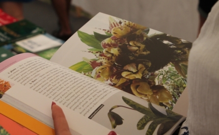 Feira do Livro de Portimão há 59 anos a promover o livro e a leitura 