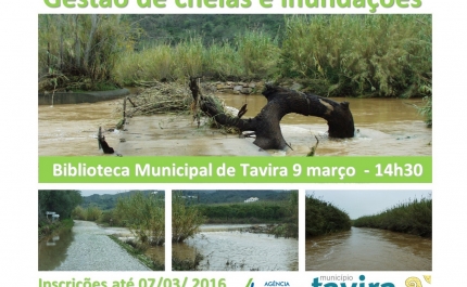 «Gestão de Cheias e Inundações»