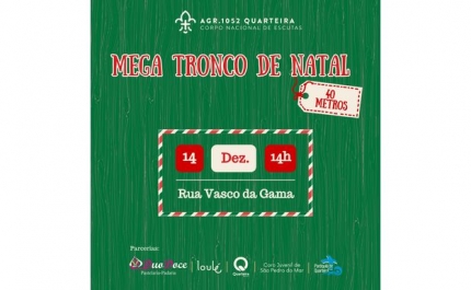 Mega tronco de Natal - CNE - Agrupamento 1052