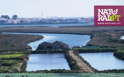 DIA ABERTO DA RESERVA NATURAL DO SAPAL DE CASTRO MARIM E VILA REAL DE  SANTO ANTÓNIO, NO SEU 40º ANIVERSÁRIO 