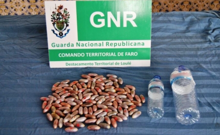 GNR apreende haxixe em Almancil