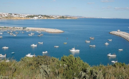 CÂMARA DE ALBUFEIRA DECLARA EXPLORAÇÃO DE AQUACULTURA CONTRÁRIA AOS INTERESSES PÚBLICOS