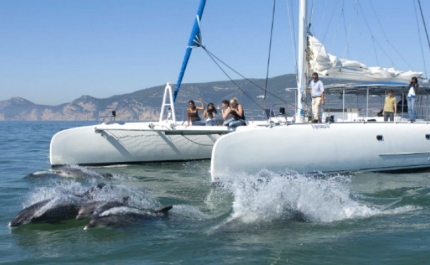Novo catamarã para observação de golfinhos inaugurado este mês no Algarve