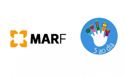 4000 Crianças já participaram no Programa 5 ao Dia