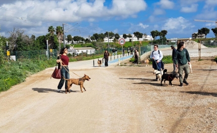 1ª Cãominhada organizada pela UAlg realizou-se a 21 de fevereiro