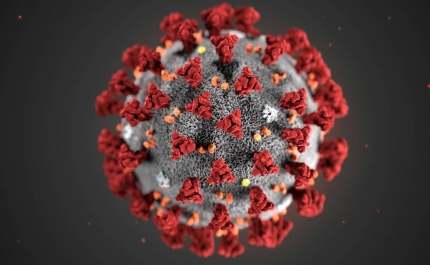COVID-19: Algarve hoje sem novos casos de Coronavirus