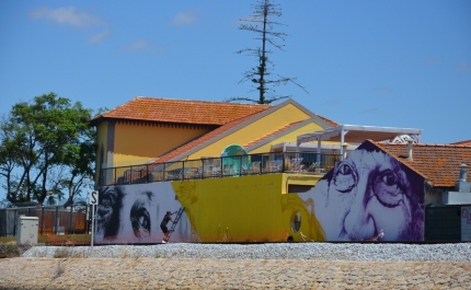  Inauguração do mural «Olhar a Ria» dedicado à Ria Formosa em Faro