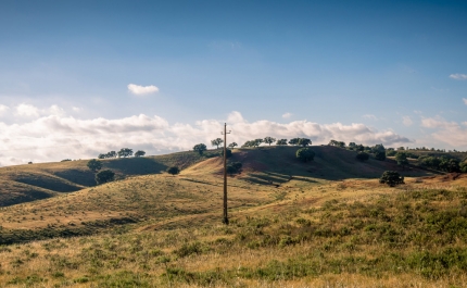 Loulé recebe Semana do Campo do Mestrado em Gestão Sustentável dos Espaços Rurais da UAlg