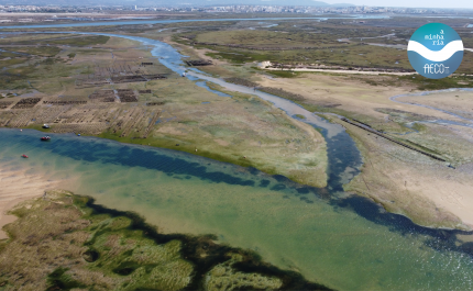 Associação para o Estudo e Conservação dos Oceanos reforça as suas ações de conservação anuais com um desafio inovador à população