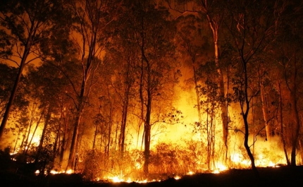 Governo declara situação de contingência devido a incêndios entre segunda e sexta-feira