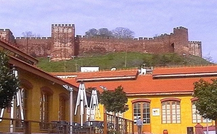Conselho de Museus apreensivo com venda do Museu de Cortiça Silves