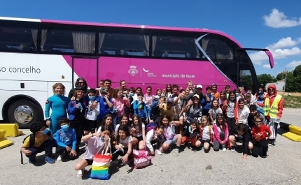 Surf Gratuito para os alunos do 4º ano escolaridade