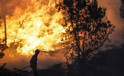 Incêndios: Mais de 100 concelhos de 14 distritos em risco máximo