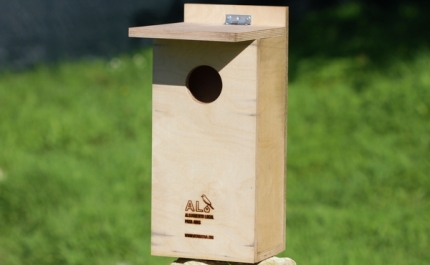 A Associação Vita Nativa – Conservação do Ambiente e o ICNF 