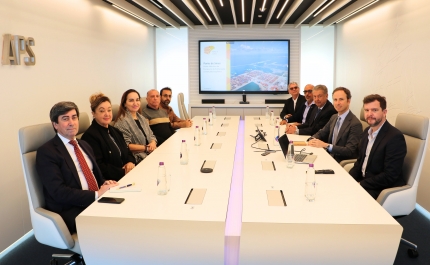 Delegação Brasileira de Goiás em visita ao Porto de Sines