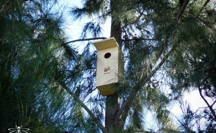 Pedras Del Rei e Pedras da Rainha implementam projeto de alojamento local para aves 
