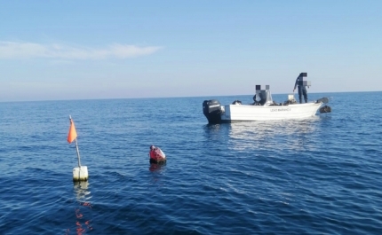Polícia Marítima apreende teia de 200 alcatruzes com cerca de sete quilómetros na Ilha Deserta em Faro