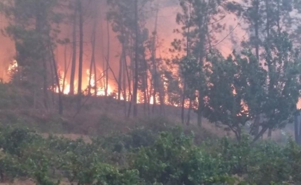 Incêndios: Proteção Civil eleva para nove os distritos em alerta laranja no sábado