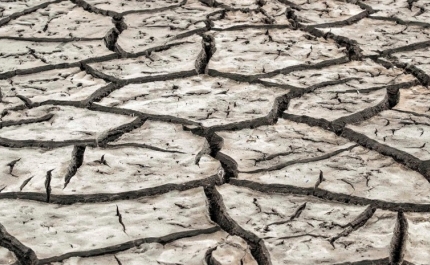 Apoios prometidos aos agricultores pelo Governo para enfrentar efeitos da seca ainda não chegaram ao terreno