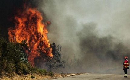 Incendiário de Monchique condenado a 9 anos de prisão