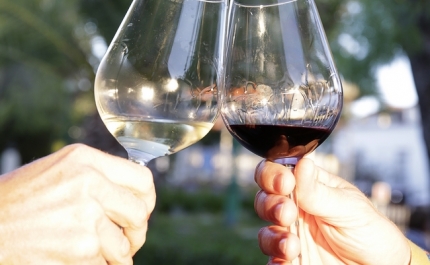 Tavira «Os Dias do Vinho»