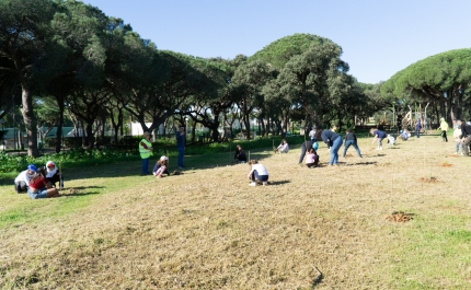 A importância de plantar porque «toda a árvore conta»