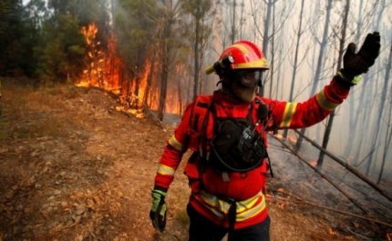 Incêndios/Algarve: Fogo que começou em Castro Marim foi dominado