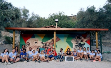 Artistas pintam mural solidário em prol da causa animal