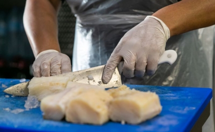 Portugueses comem 70.000 toneladas de bacalhau por ano e cinco das quais só no Natal