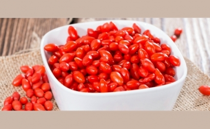 Dicas nutricionais para os produtores de Góji